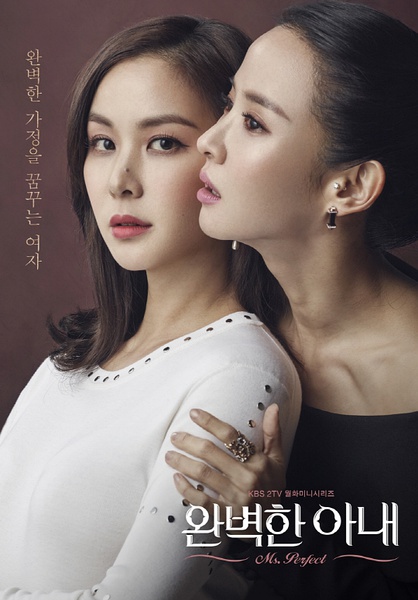 完美的妻子.jpg