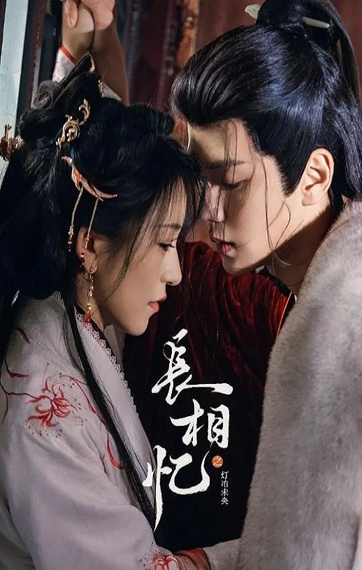 2025年国产大陆电视剧《长相忆之灯冶未央》全24集