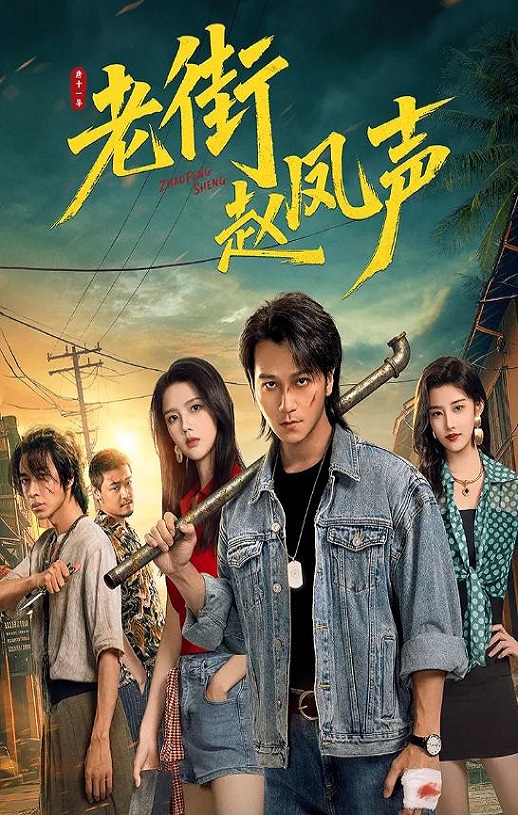 2026年国产大陆电视剧《老街赵凤声》全26集