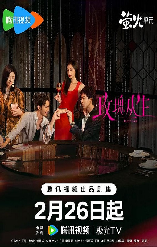 2026年国产电视剧《玫瑰丛生》 全26集