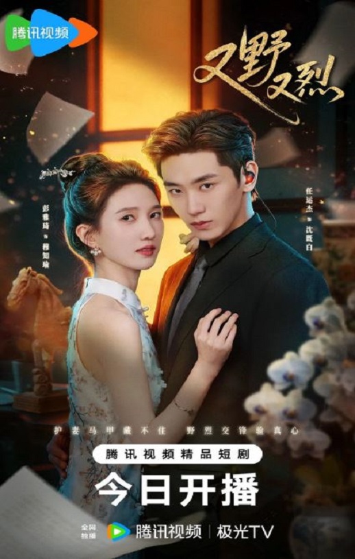 2026年国产电视剧《又野又烈》 全24集